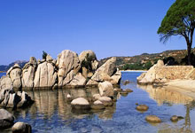 PG电子官方-关于苏宁惜败富力，主场不利状态崩溃的信息